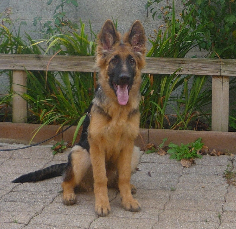 Flika de la Gravona