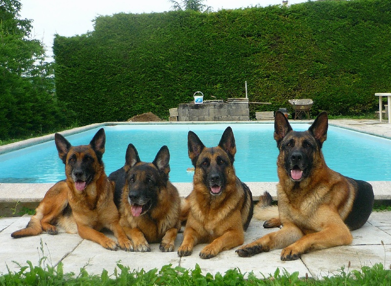 RUDY-ALOUNDRA-CINLEY-CODY LES JOIES DE LA PISCINE-2010-