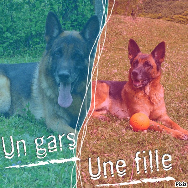 PORTRAITS DE FAMILLE-ETE -2010-