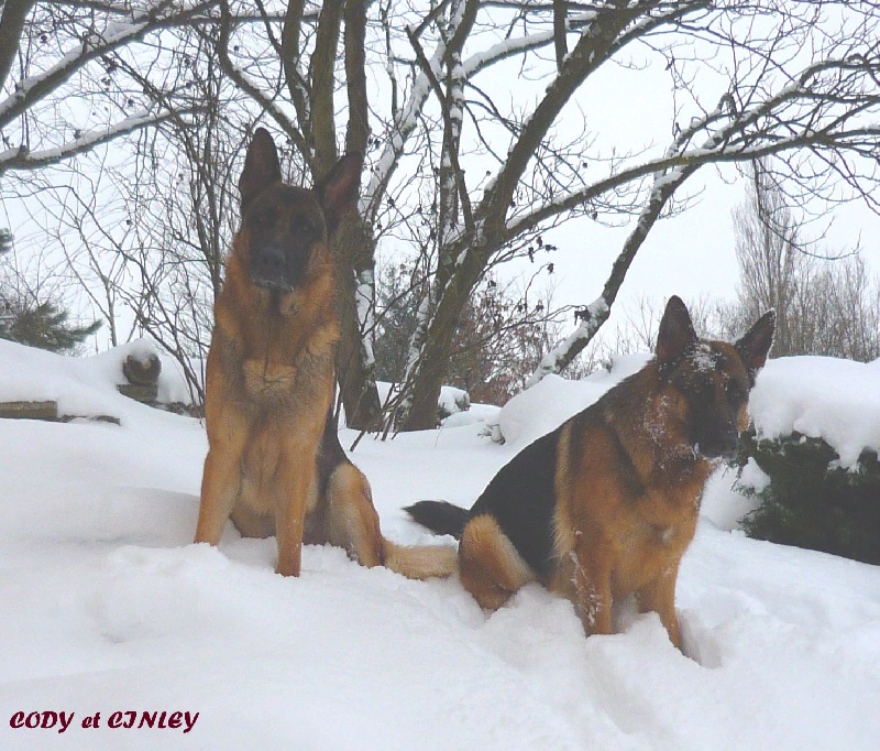 JEUX DANS LA NEIGE-